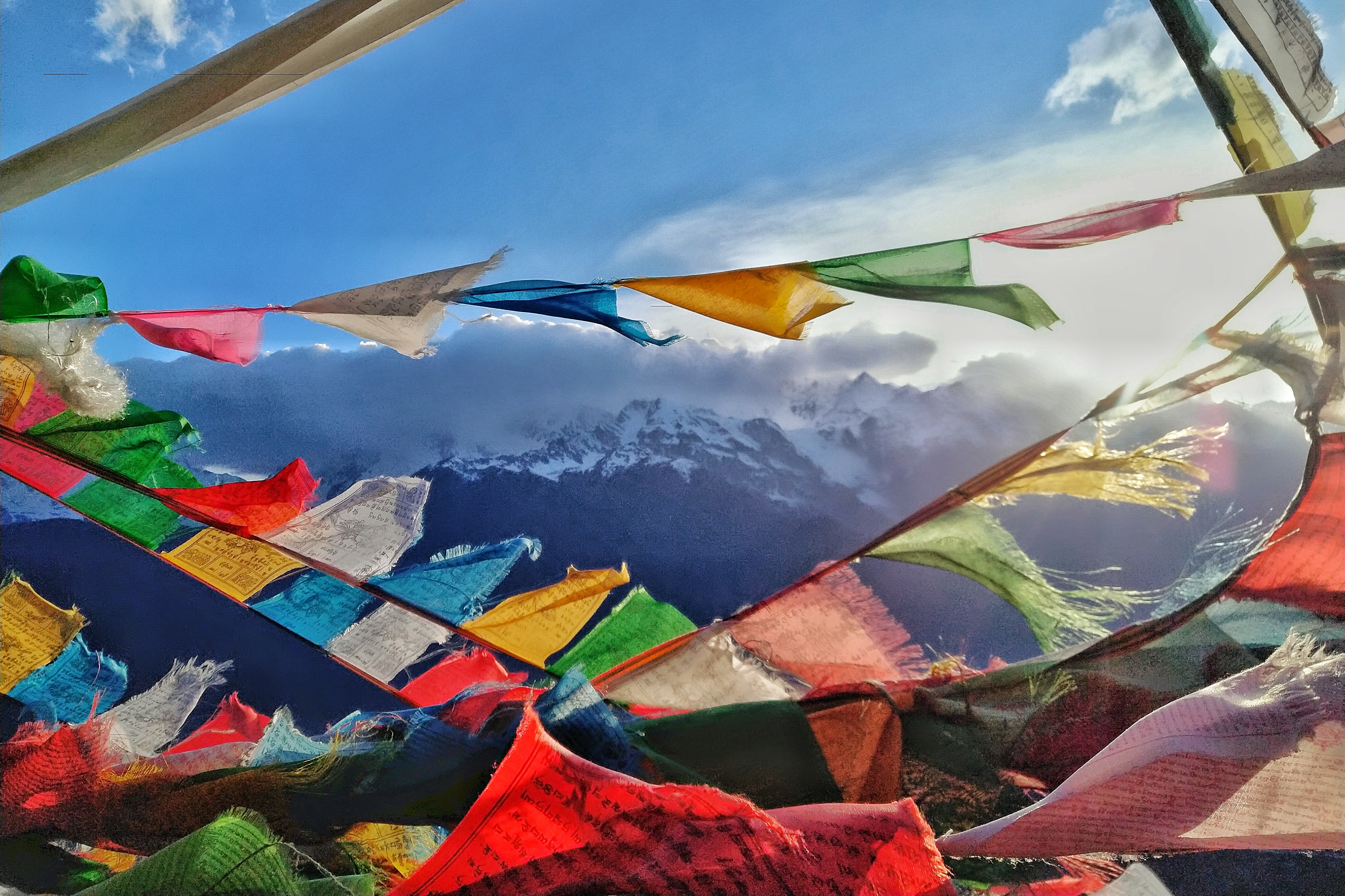 强迫症治疗一次需要多少钱,强迫症治疗一年费用多少