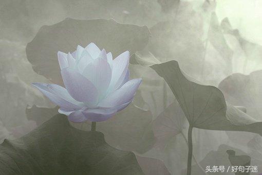 禅悟人生经典语录少说话,禅悟人生最简单的一段话