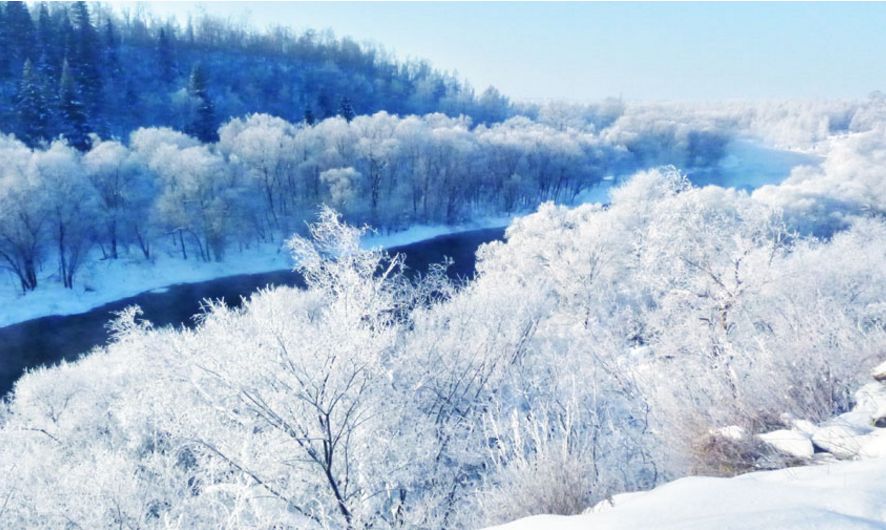 「诗词原创」褚乃艳｜莫道君心无所住红尘洗却看沉浮