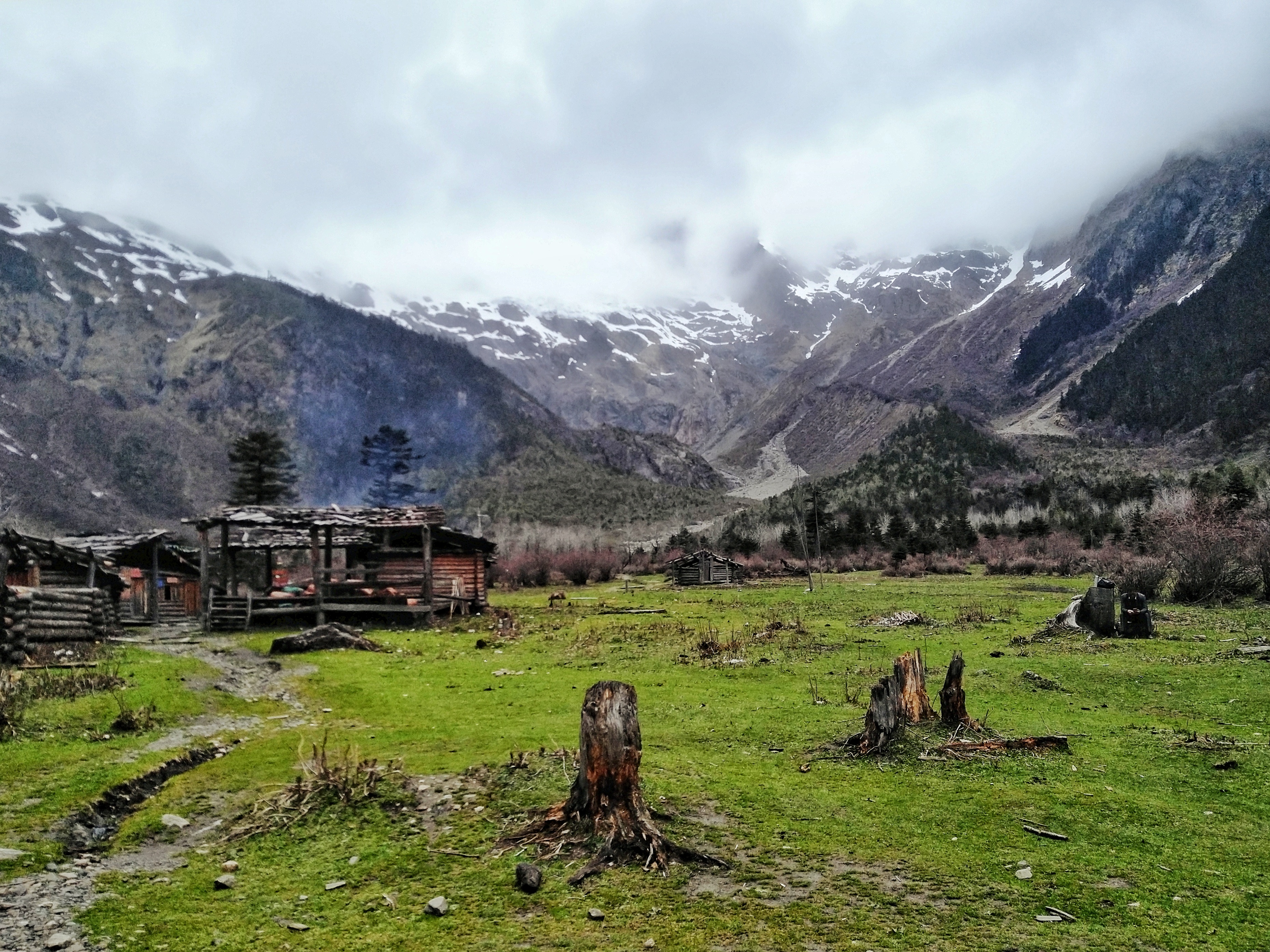 强迫症治疗一次需要多少钱,强迫症治疗一年费用多少