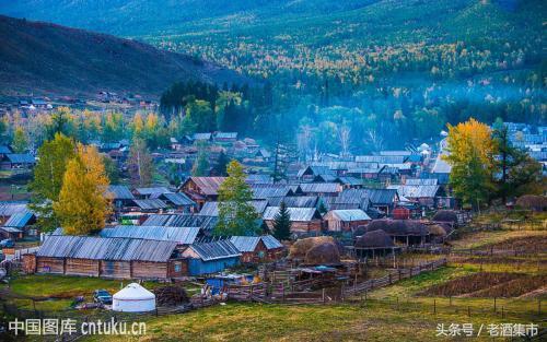 新疆伊力特酒哪款值得收藏,新疆伊力特曲酒10年咋样