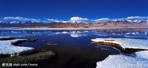 新疆伊力特酒哪款值得收藏,新疆伊力特曲酒10年咋样