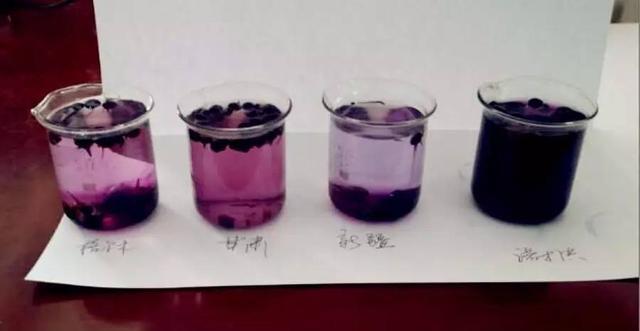 花青素之王黑枸杞青藏高原,花青素之王黑枸杞功效