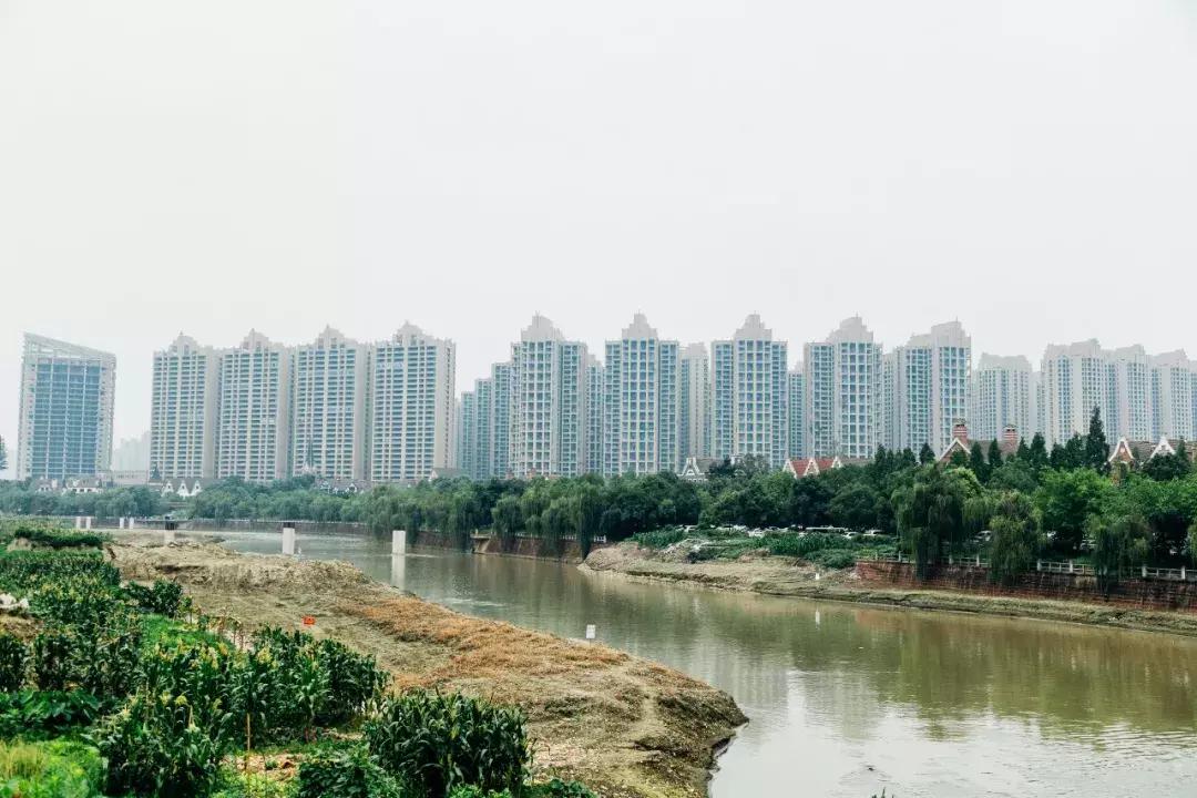 都想买到天府新区去？小孩究竟在哪上学你真了解？