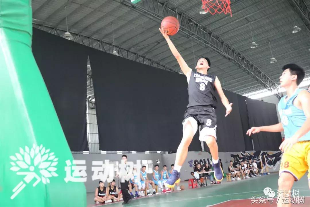 篮球嘉年华总决赛,篮球嘉年华总决赛谁赢了