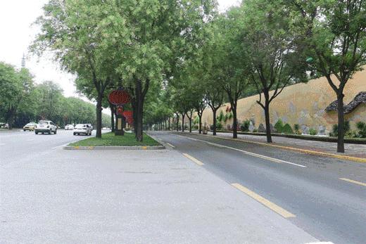 西安网红花墙美景,西安港风拍照圣地