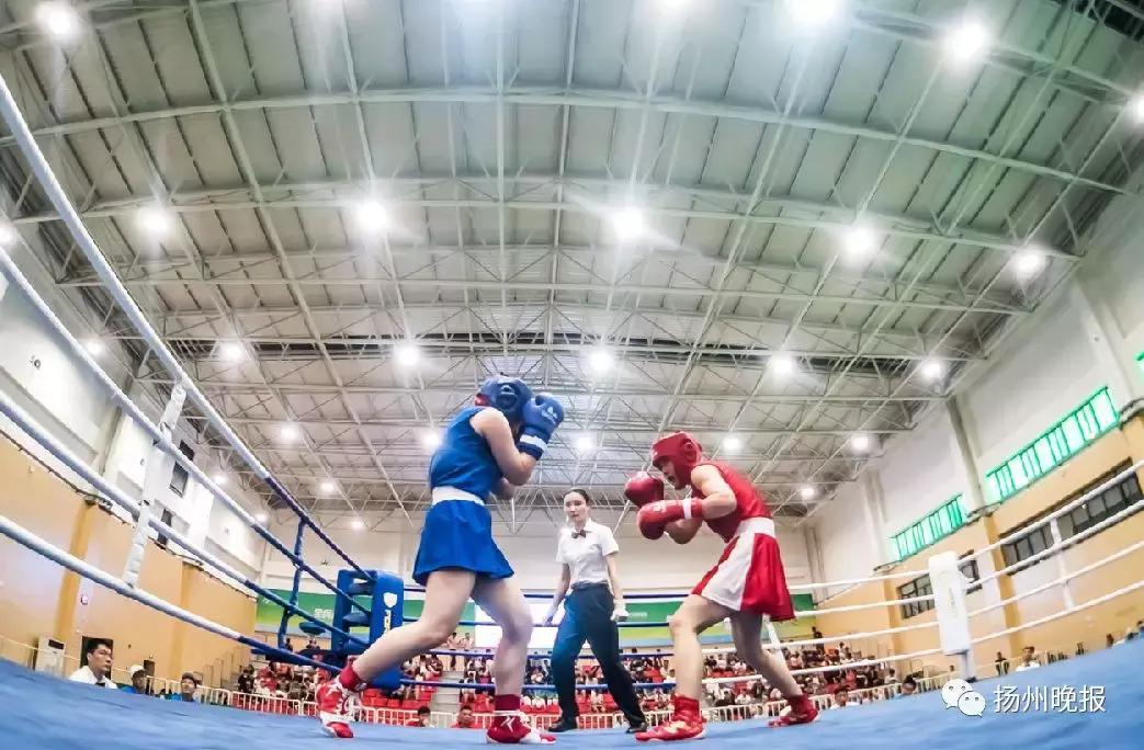 300多名青少年拳手会聚扬州，扬州选手首日赢5场
