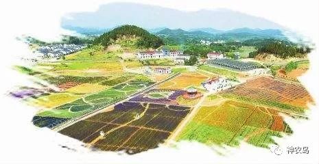 农产品网络营销的机遇和挑战,农产品营销模式和网络销售