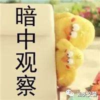 为逃避处罚货车司机各种伪装车牌,为躲处罚遮号牌聪明反被聪明误