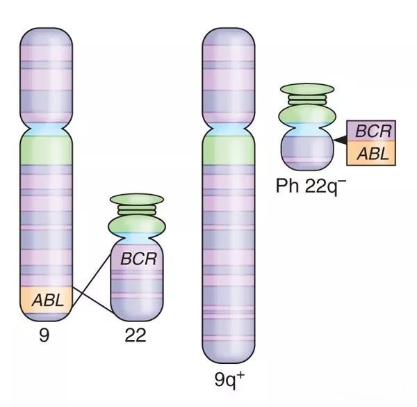 我不是药神中的药品检测师,和基因检测有关的电影