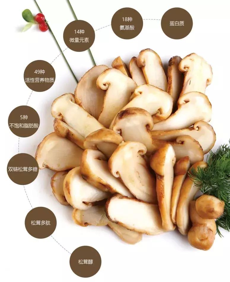 松茸有那么贵吗,为什么松茸鲜有的贵有的便宜