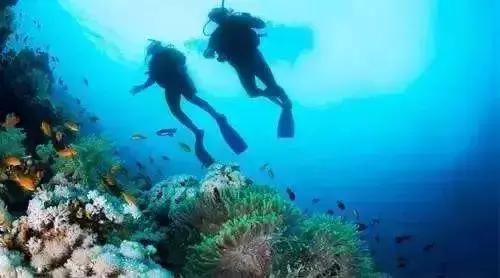 东莞游玩排名第一的海岛,东莞海岛观光旅游