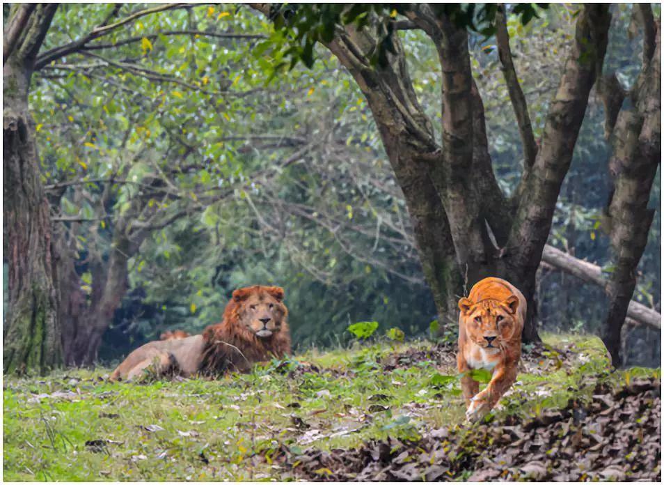 重庆乐和乐都及周边玩耍攻略,重庆乐和乐都的游玩设施