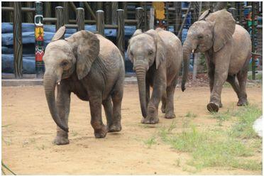 重庆乐和乐都及周边玩耍攻略,重庆乐和乐都的游玩设施