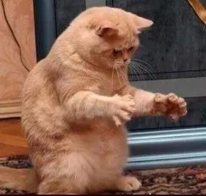 告诉你内蒙古不包邮的原因,为什么内蒙古大部分不包邮呢