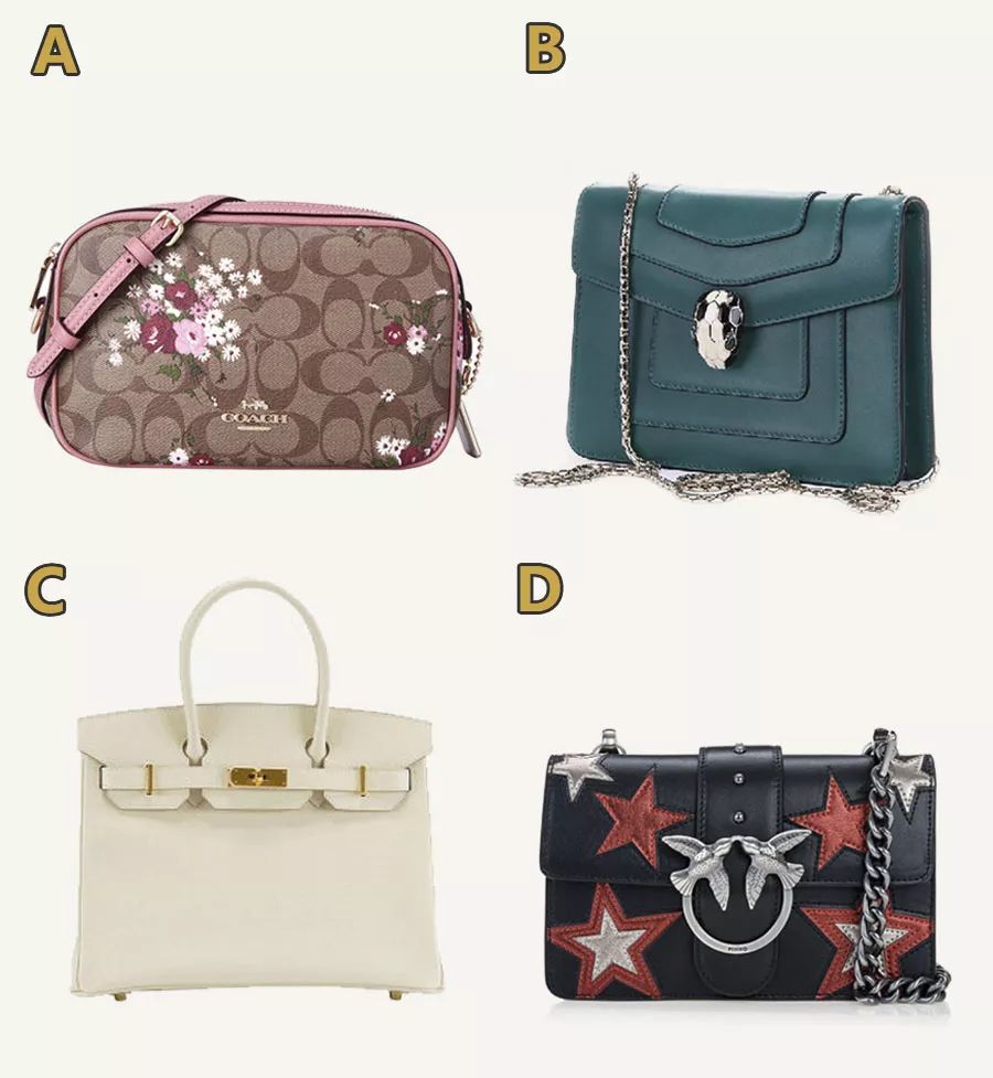 谁说男人不懂包？今天我们就来测试一下直男们的审美有多酷