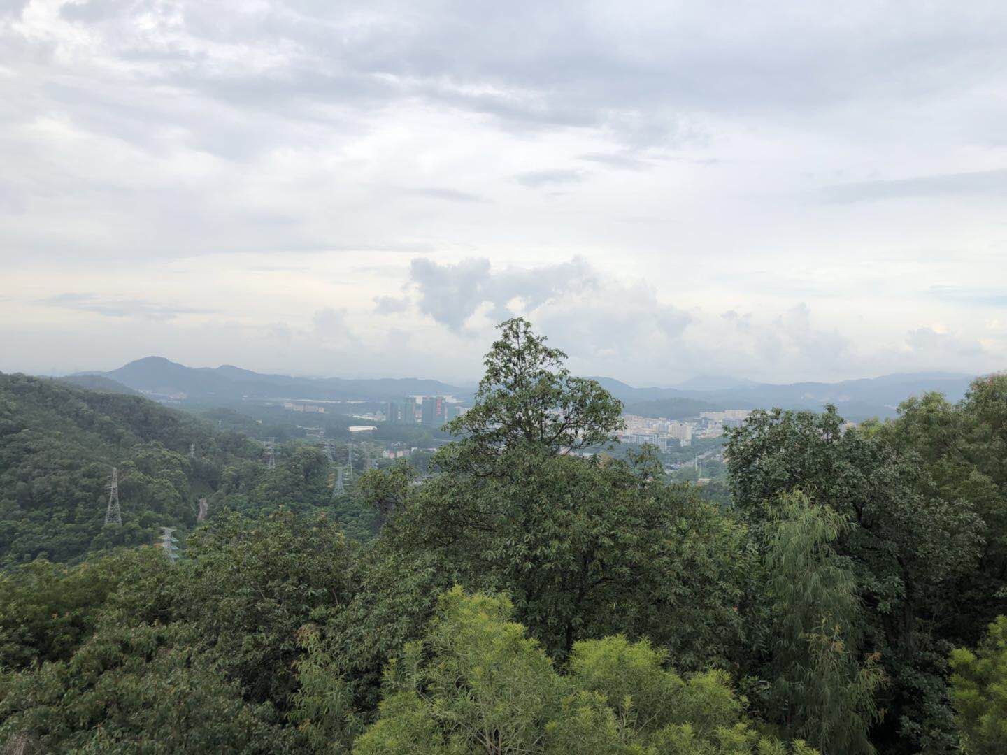 怎样才能不失去你,如何做到不失去本心