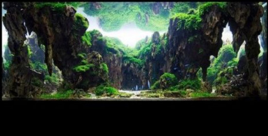 水草缸造景用什么石头,水草缸造景多少钱一套