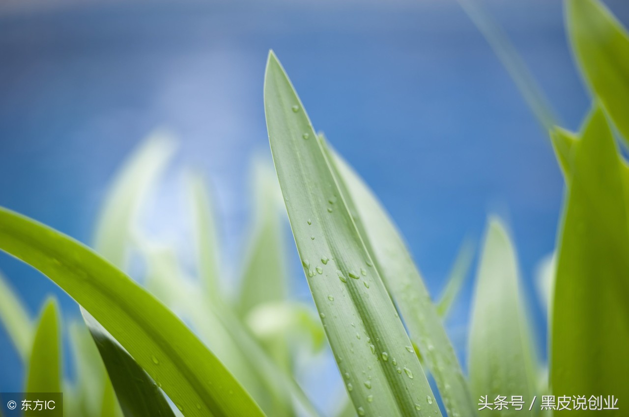 什么是互联网营销,什么是互联网简单介绍