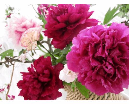 人生要懂得放下好好生活的句子,舍得心静如水