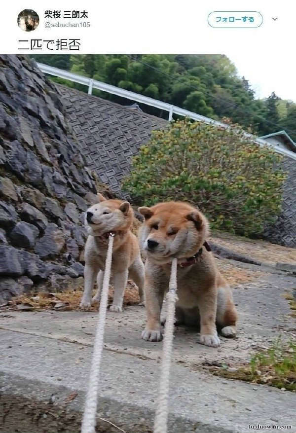 重回90年代靠卖小龙虾发家致富,90后卖鱼小伙年入千万