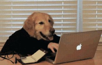 有哪些国外免费学英语的网站,10个最适合英语学习的网站推荐