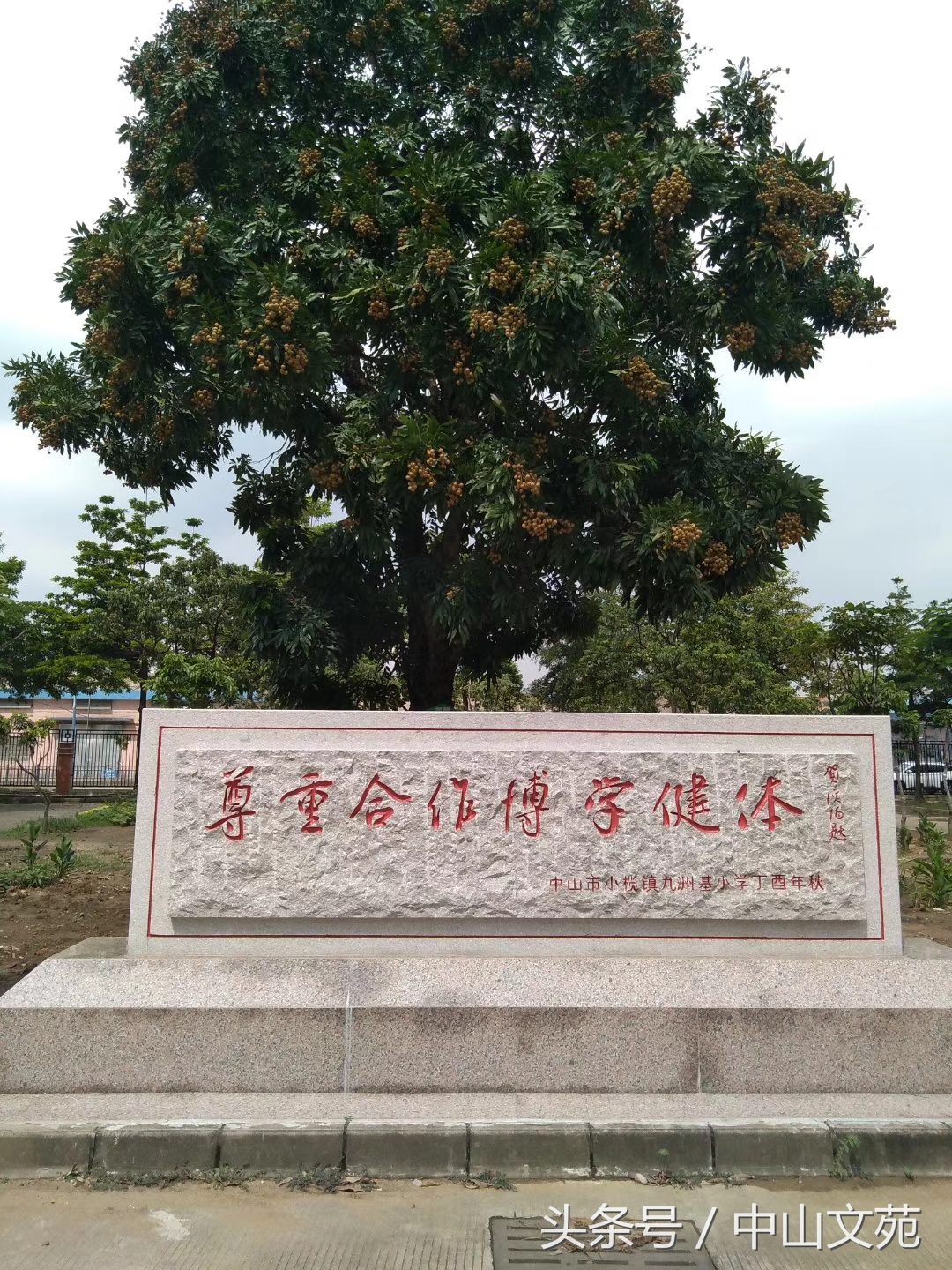 羽人为善，爱在九洲基——九洲基“羽人为善”亲子羽毛球赛观感