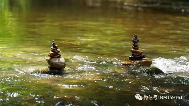 北大荒雷强打猎,北大荒雷强打黑