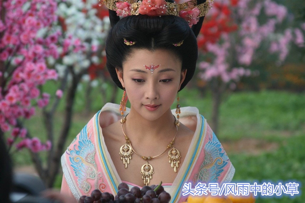 杨贵妃和寿王李瑁结婚了吗,唐玄宗的儿子李瑁与杨贵妃的故事