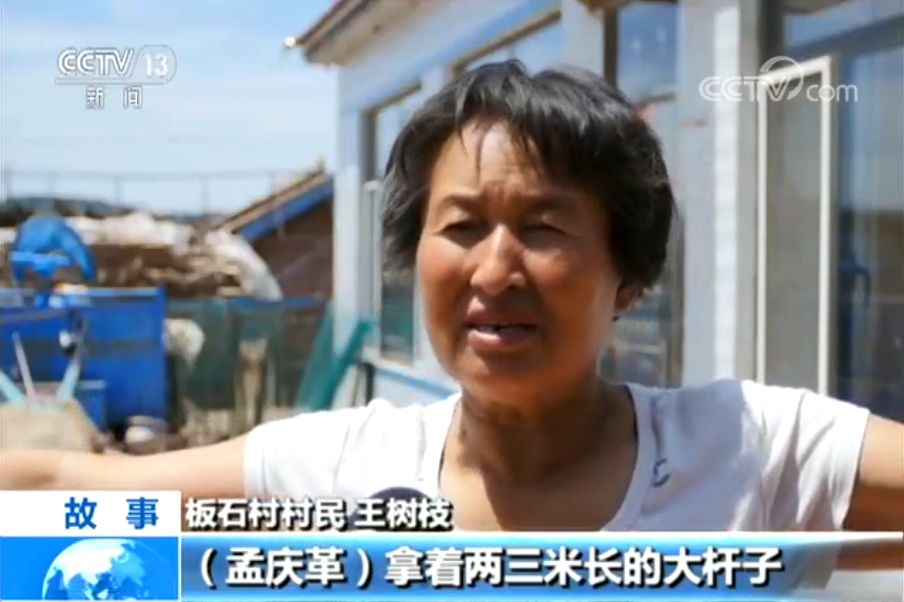 农村整治黑势力村霸政策,打击村霸恶势力的举报电话怎么打