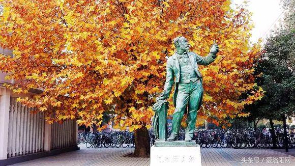 再见再见渡边淳一小说简介,再见原作