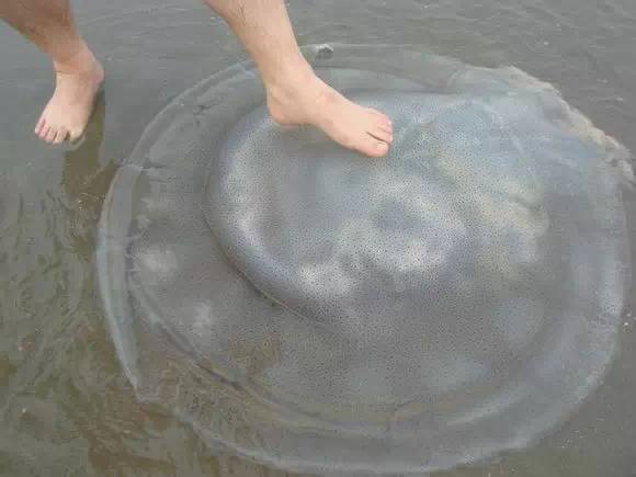 日照有什么好玩的地方,日照金山