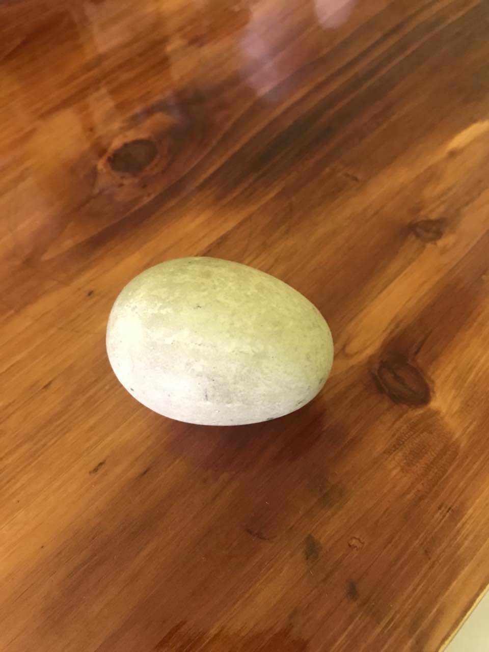 博拍堂精品推荐,博拍堂精品推送