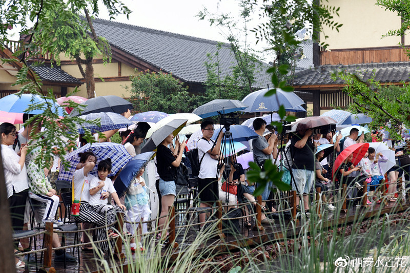 文化大讲堂古琴雅集,西安西咸新区西咸大讲堂