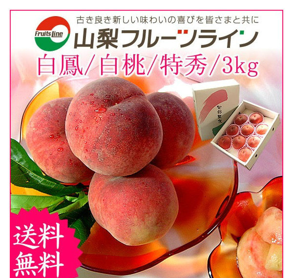 dota2国际邀请赛赛事回顾,日本牡蛎杯dota2