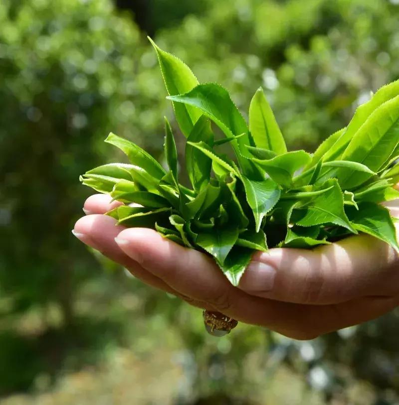 一个由“卖假药”引发的生命思考