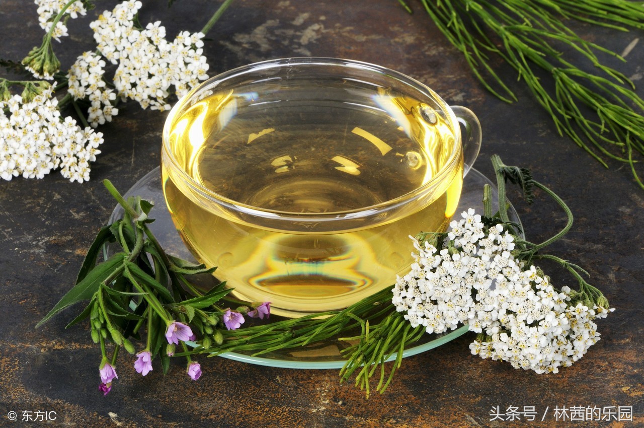 品茶的意境精美诗句,品茶的简短精美古诗短词