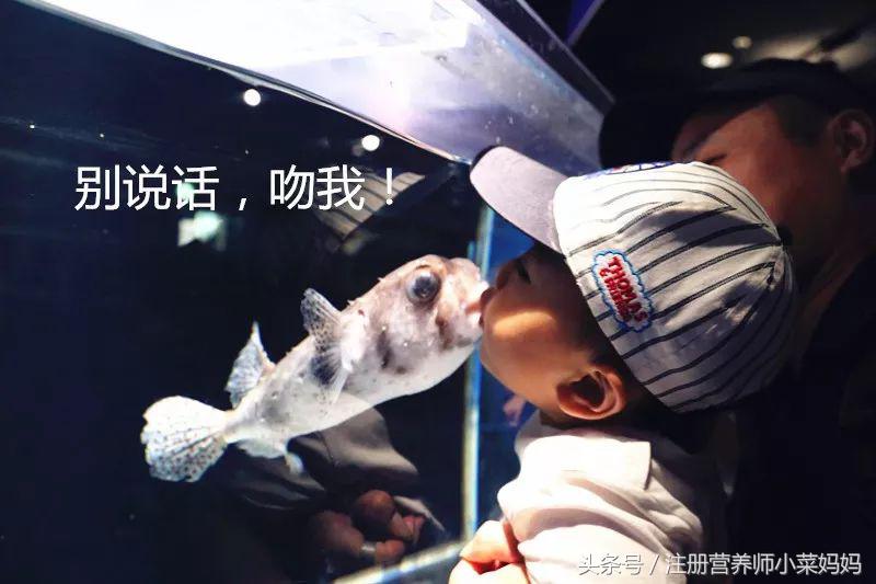 带娃去日本,照着做就对了