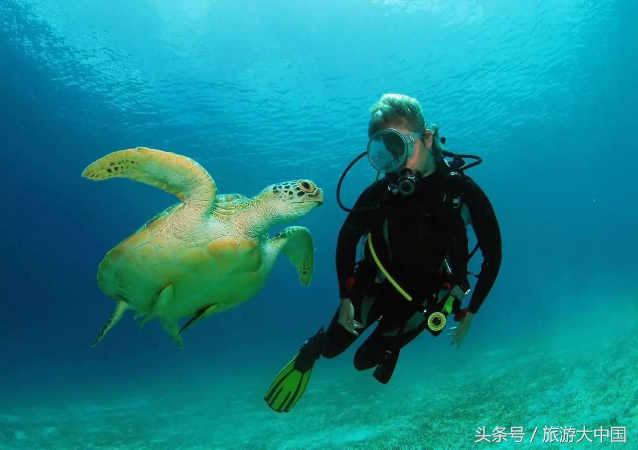 泰国普吉岛十大潜水景点介绍,泰国普吉十大潜水景点排名第一名