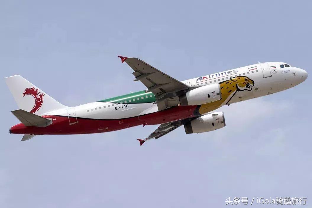 世界杯球队抵达,世界杯球队坐什么飞机比赛