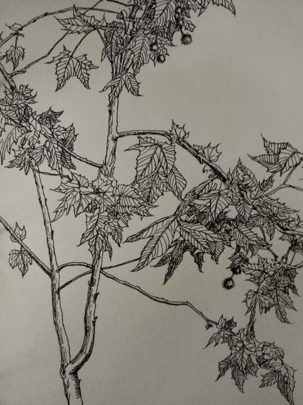 幸福原创画吧（7月10日）画友习作分享