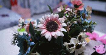 想我所想愿我所愿,想我所想后面一句