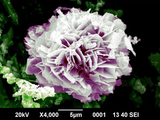 微观世界｜这样的世界杯，你见过吗？