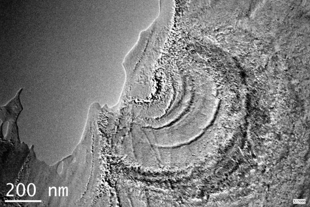 微观世界|这样的世界杯,你见过吗?