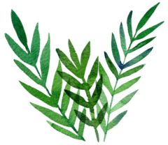 妇科检查tbs筛查癌准确吗,妇科筛查能检查出癌吗