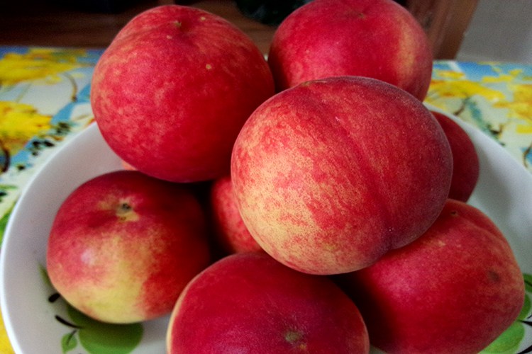 高手自制钓鱼小药配方视频,草莓香精水蜜桃香精钓鱼