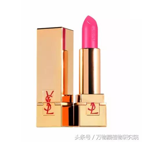 鎶よ偆鍝佺敤鐨勪腑鑽夎嵂閮芥湁鍝簺,鐪熸鐨勪腑鑽夎嵂鐨勬姢鑲ゅ搧