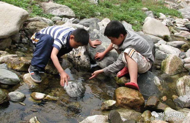 夏日傍晚，伴着蛙叫我在大树下乘凉、数星星……