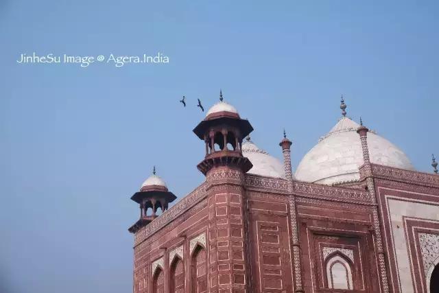 我不是药神抖音讲解,我不是药神为什么不能买印度的药