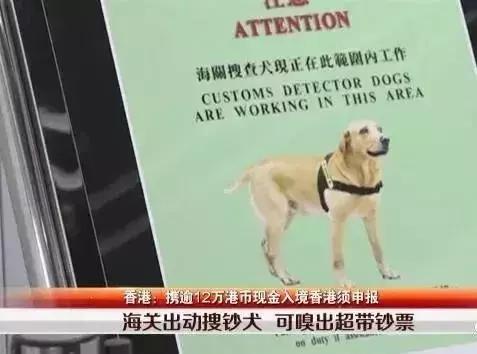 东莞人过香港最新规定,东莞违反禁令罚多少